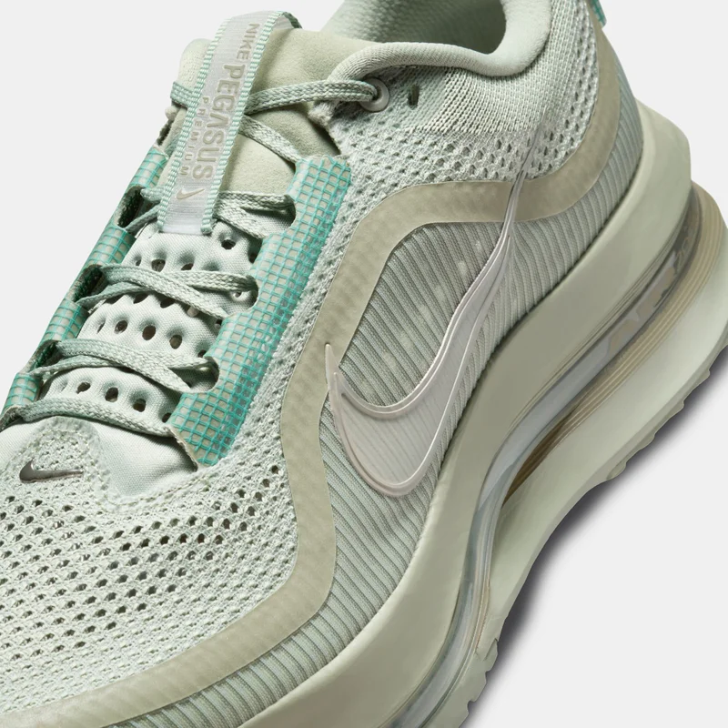 Nike Men's Pegasus Premium Road Running Shoes